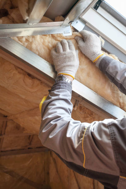 Types of Insulation We Offer in Cabana Colony, FL