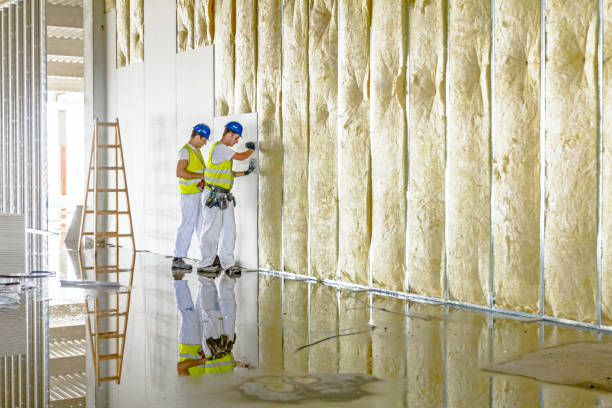 Best Insulation for Specific Applications in Cabana Colony, FL